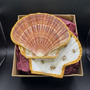 Bee Scallop Box