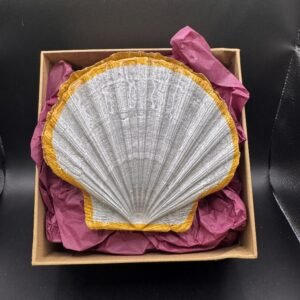 Silver scallop box