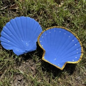 Blue painted scallop box