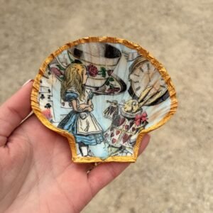 Alice and The White Rabbit Scallop