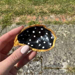 Single oyster shell