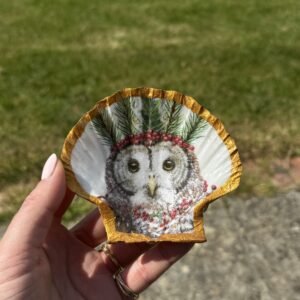 Owl scallop small