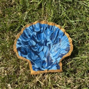 Marbled blue scallop small
