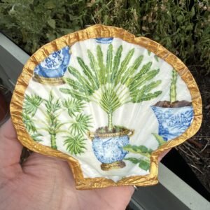 Garden scallop